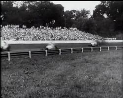 NEWS ITEMS FROM AMERICA: News Clip