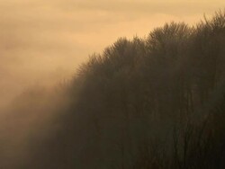 HD TIME-LAPSE LOOP: Fog Stock Footage