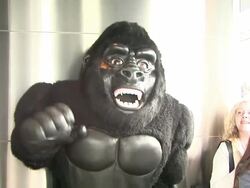 Hilary Duff Hosts Lighting Ceremony For AIDS Walk NY Stock Footage