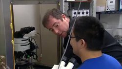 New Mosquito Repellant Could Be Frightening... For The Mosquitoes! Instructional Video