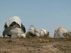 MS View of tents, bushes and people / Djibouti Stock Footage