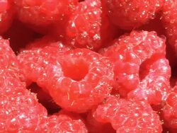 Raspberries on garden table Stock Footage