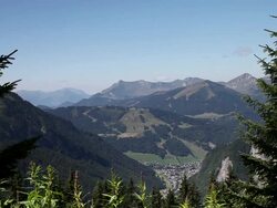 WS Mountain landscape with foreground trees/ French Alps Stock Footage