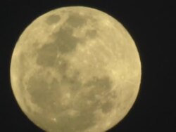 Full Moon Rising Stock Footage