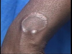 RR 8919D Instructional Video