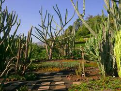 Botanical Gardens Stock Footage