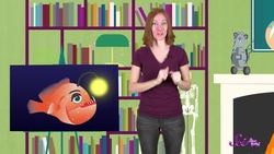 All About Anglerfish Instructional Video