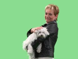 Woman and her dog Stock Footage