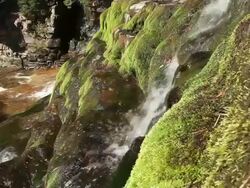 Medium shot of waterfall in the Uinta National Forest. Stock Footage
