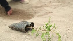 CLEAN : Ecuador beats Guinness reforestation record News Clip