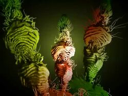 abstract growth green Stock Footage