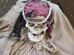 CU Shot of skull at Chauchilla cemetery / South Of Peru, Nazca, Peru Stock Footage