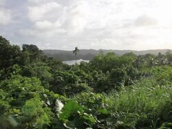 Rock Islands Stock Footage