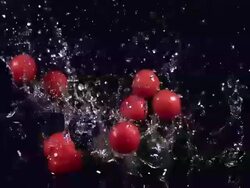 MS SLO MO Cherry tomatoes(solanum lycopersicum) fruits Falling on Water / Vieux Pont, Normandy, France Stock Footage