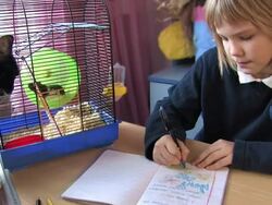 Schoolgirl and her pets Stock Footage