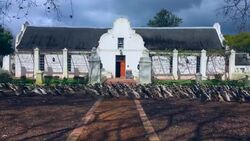 Ducks - a new type of pest control for vineyards News Clip