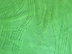Timelapse Phormidium (1fps; differential interference contrast): Cyanobacteria forming slimy mats of tangled filaments in or around stagnant water. Stock Footage