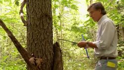 Rising CO2 Levels Make Forests Work Overtime Instructional Video