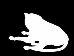 Cat (Loopable) Stock Footage