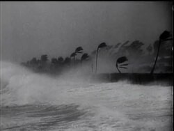 HURRICANE HITS FLORIDA COAST News Clip