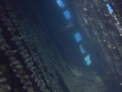 Shipwreck - Carnatic Stock Footage