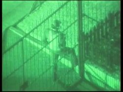 Peru - Sound of gunfire News Clip