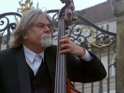 Close up street musican playing the double bass / Prague Stock Footage