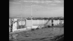 Dolphins Perform at Marineland Stock Footage