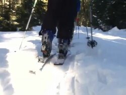 HD: Skiing point of view Stock Footage