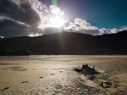 TIME LAPSE: Beach Abel Tasman New Zealand Stock Footage