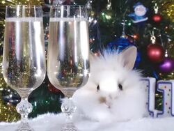 Christmas story Stock Footage