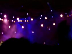 Crowd Waving at the Concert Stock Footage