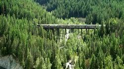 Train crossing bridge in wilderness in Montana, USA Stock Footage