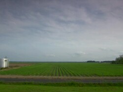 WS View of green field / New Orleans, Louisiana, United States Stock Footage