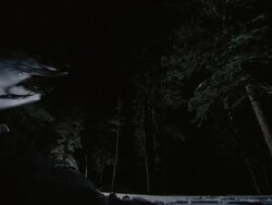 WS SLO MO PAN Snowmobile jumping in snow covered forest / Mammoth Lakes, California, USA Stock Footage