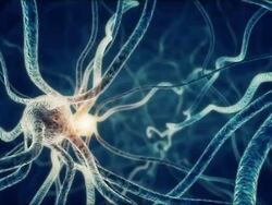 Firing Neurons Stock Footage