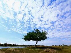Moving clouds Timelapse Stock Footage