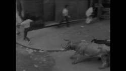 CAN569 THE RUNNING OF THE BULLS AT PAMPLONA Instructional Video
