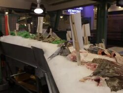 Seafood market employee loads fish onto ice Stock Footage
