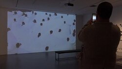 CLEAN : First major US exhibition for Brazilian artist Lygia Pape News Clip