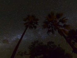 Time Lapse Okavango Delta Botswana Africa Stock Footage