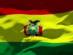 Bolivia Flag Stock Footage