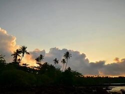 Time-Lapse: Clouds Storm over the Forests Stock Footage