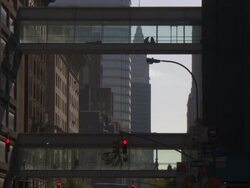 WS Bridge connecting two building / New York, New York, United States Stock Footage
