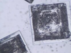 Salt crystals under microscope Stock Footage