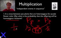 Probability in Genetics: Multiplication and Addition Rules Instructional Video
