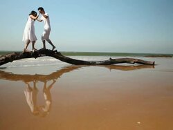 Young couple walking on a fallen tree on the beach  Stock Footage
