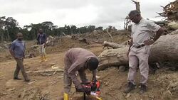 CLEAN : Gabon looks to Asia to diversify economy News Clip