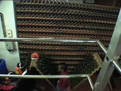 India begins producing more wine News Clip