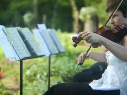 HD: Violinists perform outdoors Stock Footage